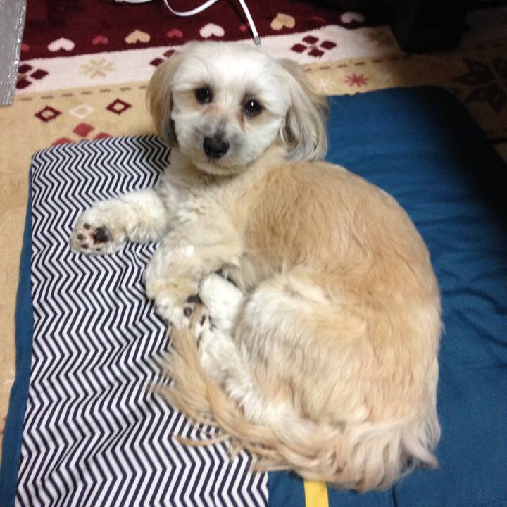 2e4978b8 69bf 47e4 a847 7dafaa069def