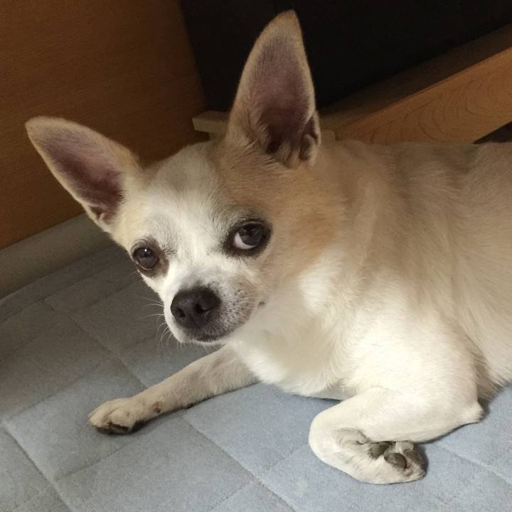 2e498db9 b82c 414d aeff 0f3cf8bd4b29