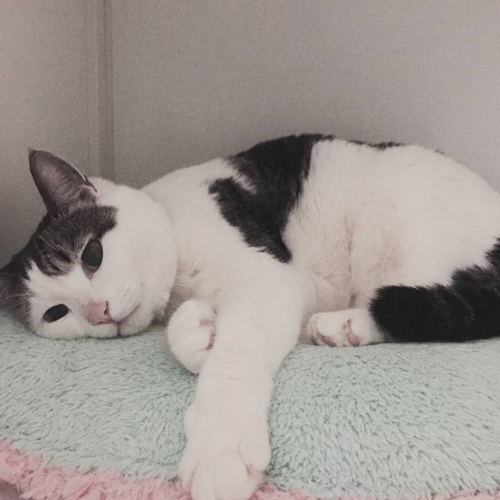 2e49fcc2 6eb3 437a b962 5bea802c440c