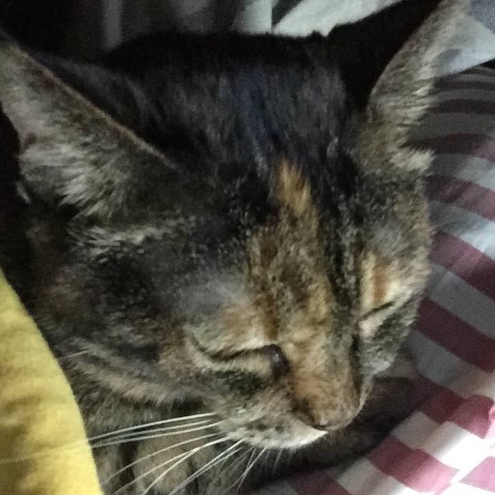 2e4a2e83 9ea7 4f34 bb96 6966a7030a9f