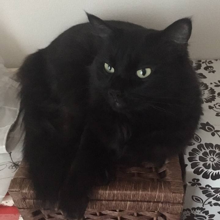 2e4a9996 22b4 46eb 8723 385d9d1fdffe