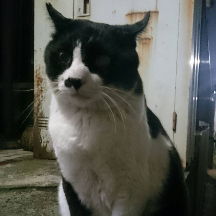 2e4a9df0 67d7 4c06 9b60 42c38fa9c5f3