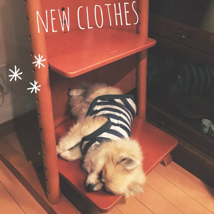 2e4b2c42 229a 4a25 8a46 a5f2c1e82bc1