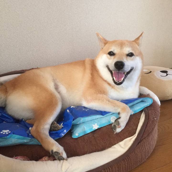 2e4b49a5 5b8d 445e b82a 3b567f61b2b8