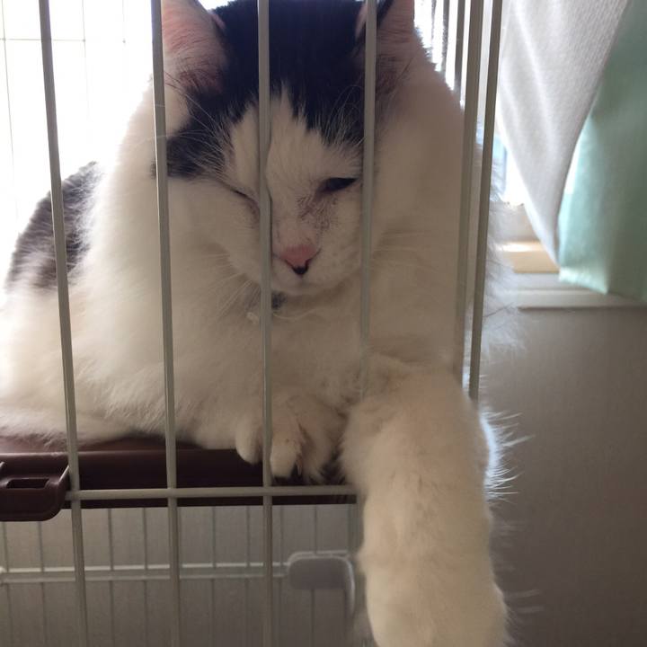 2e4b7195 ceca 41de a6b1 7844b09a0763