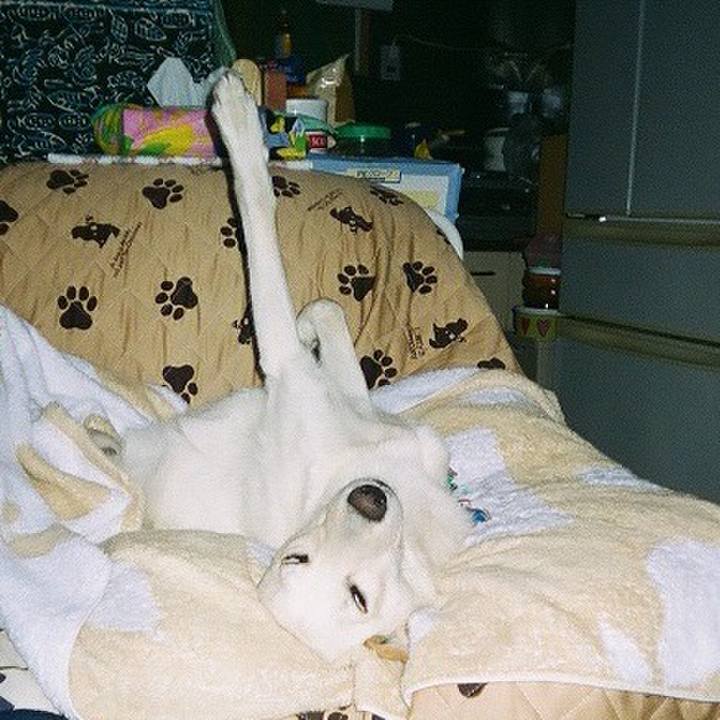 2e4c99d4 a774 42eb bc25 5ea3160e7945