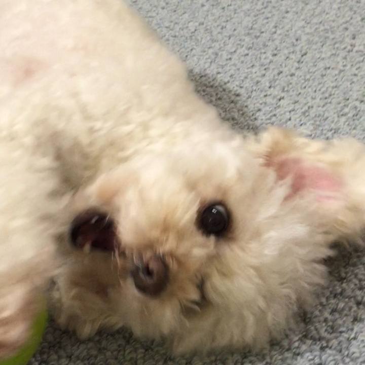 2e4ca3df cc49 4e36 98cd 913d604a30b1