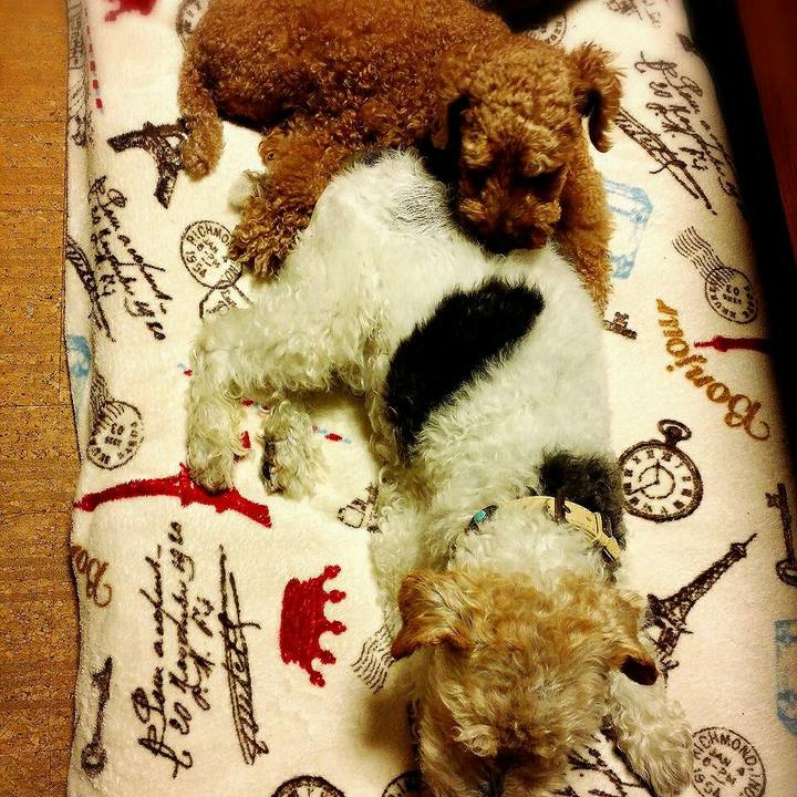 2e4cd772 fa0e 4fe8 b6bb 49f9a74d5fd8