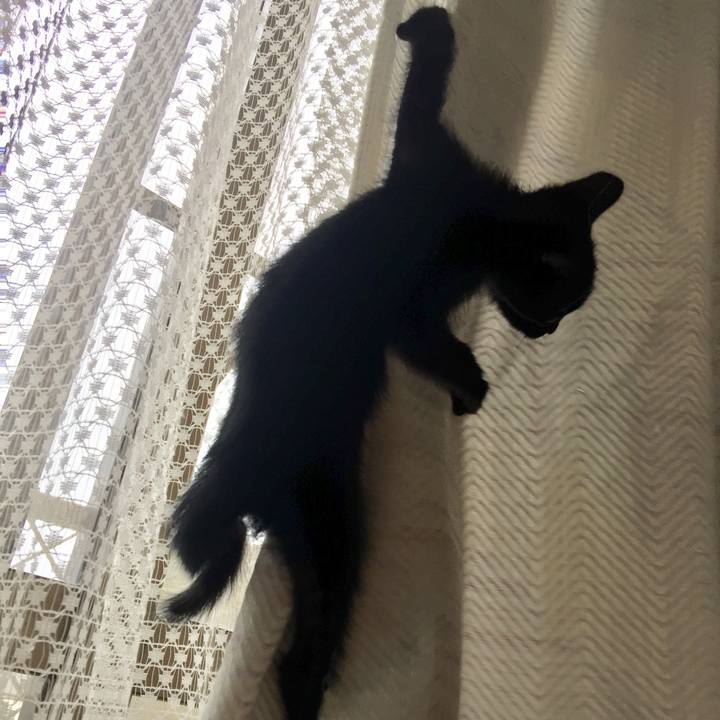 2e4ce948 570b 4521 8975 5dd5f7de7a9d