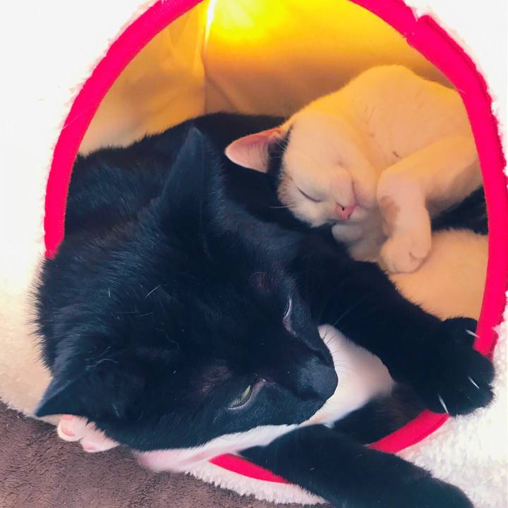 2e4d3a84 a7d9 4622 9123 5ecc2d4f813a