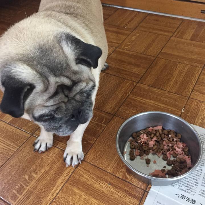 2e4d3fe0 4f15 4939 89f3 c27b09b09290