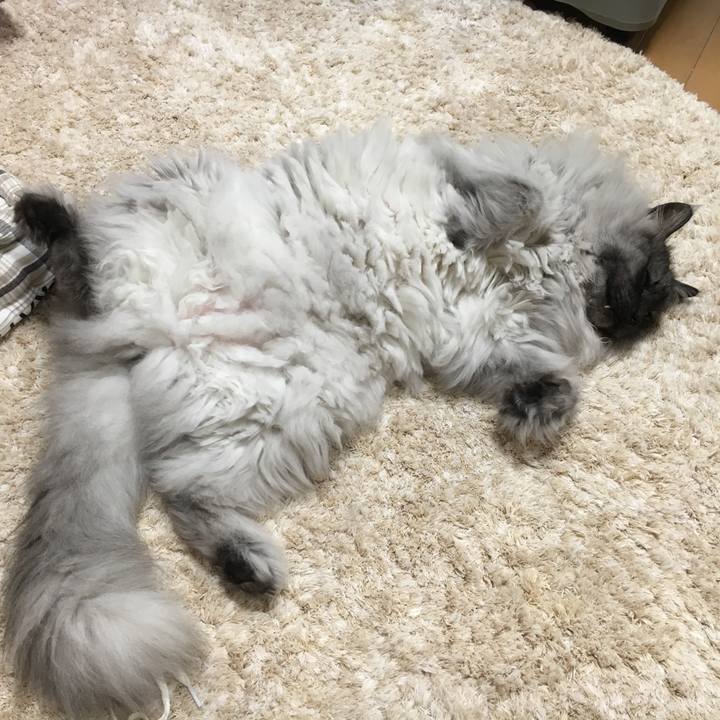 2e4d5907 b1ec 480f b11c 996b56712dce