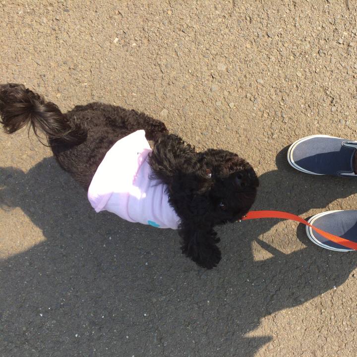 2e4da932 18b1 4f8b becc 4a6c7d34053f