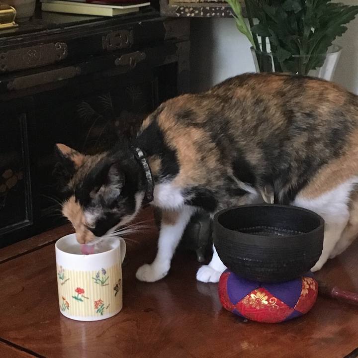 2e4e7da1 ed8e 487f 94bf c142461193f7