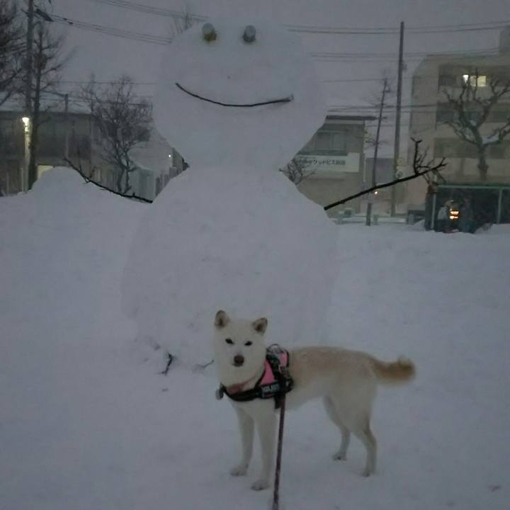 2e4ee421 95a6 4fa1 800e b4f49b193ad2