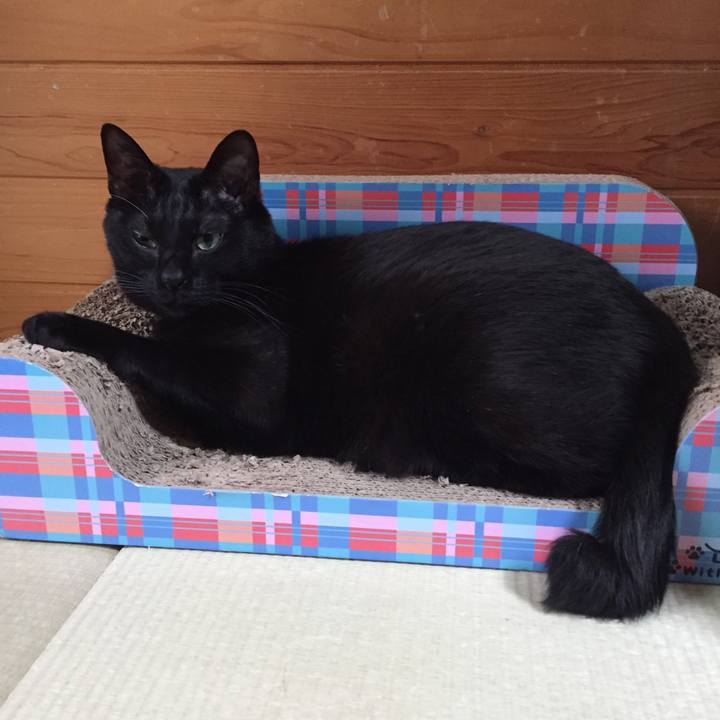 2e4f282d 4250 4a39 b3b4 473d55adc8ea