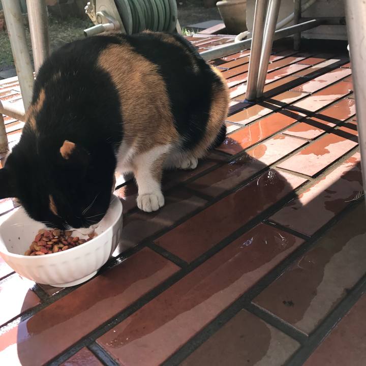 2e4f8591 7280 4c21 9d8a 725d2dc2bef7