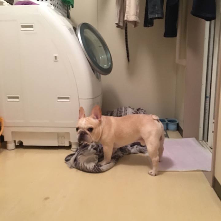 2e5035bf 91af 4610 b4c1 e8b0c422b900