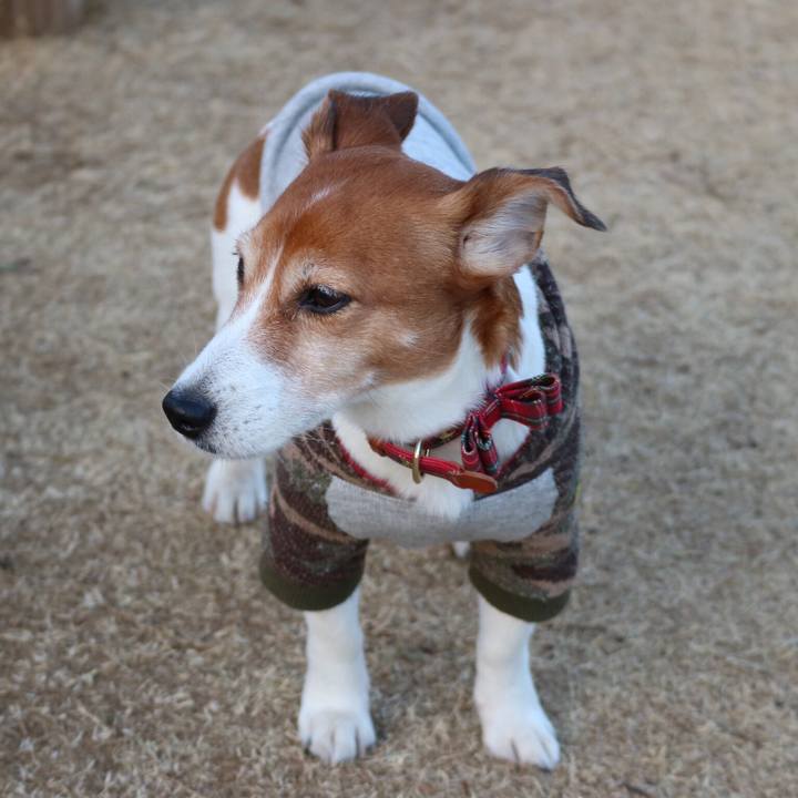 2e51598e 5bd5 448e a0ca e33726a7ddbd