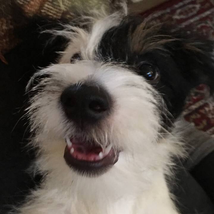 2e5177b3 9081 42e4 b94d 702cbc01174f