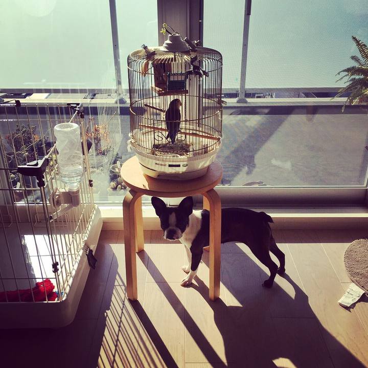 2e5205e2 e917 48a5 b579 e4a328504b98