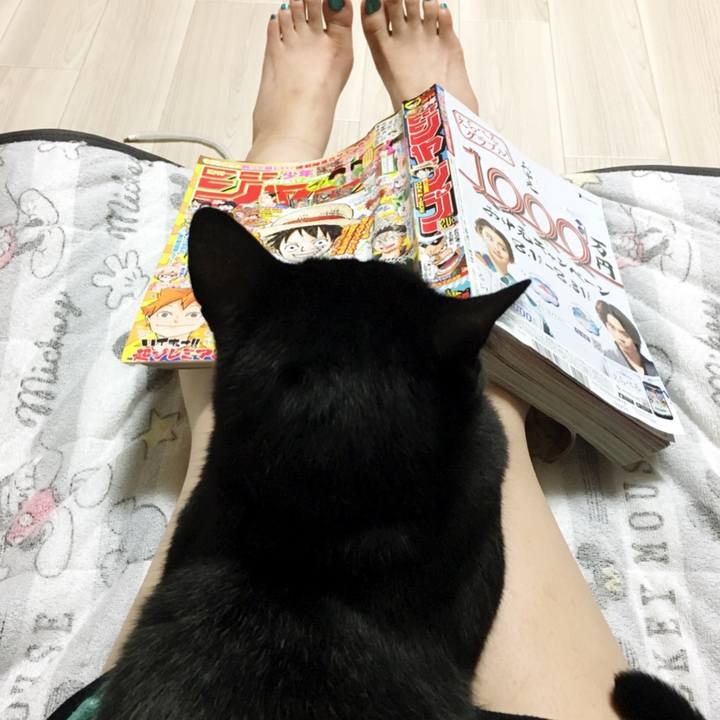 2e52147b 3d01 456c a16b 22d5d7b0f9fe