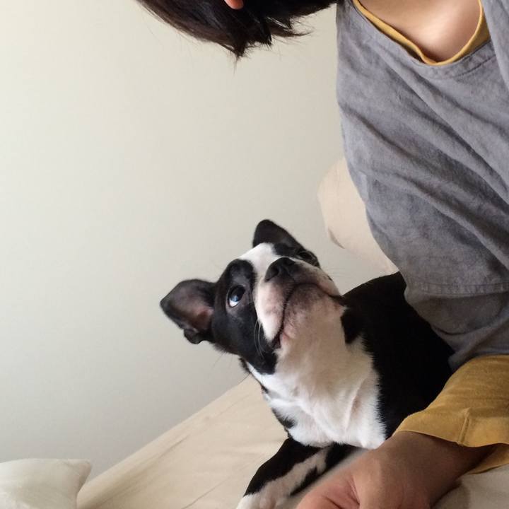 2e52e839 ee00 4013 afac 2e94a4da2cb0