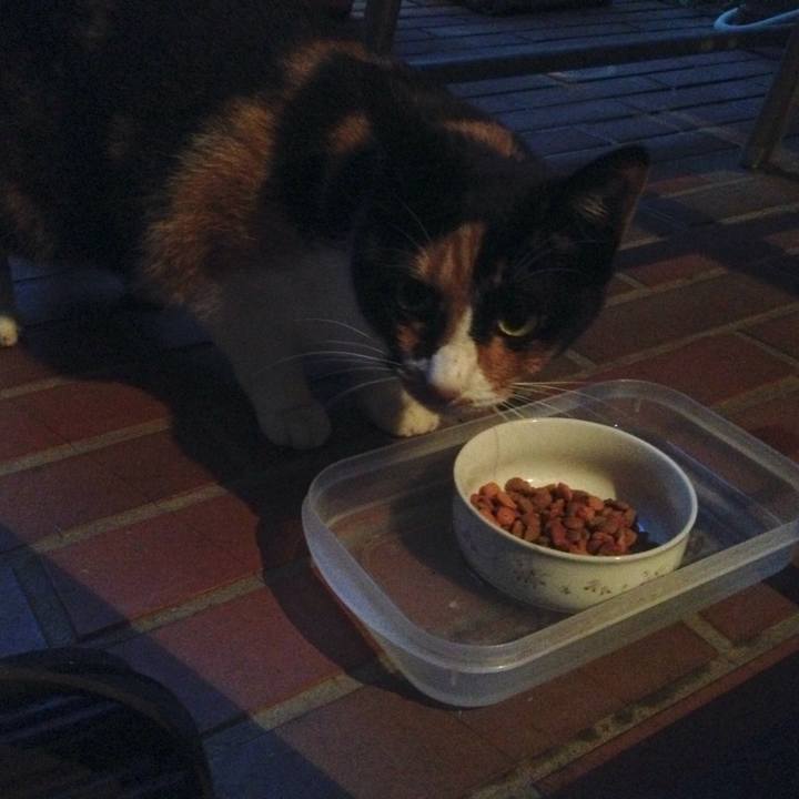 2e53acc0 d70a 435b b663 43a9a157c8b2