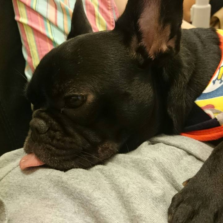 2e53eaaa c026 427b 85d5 974065ab9a2e