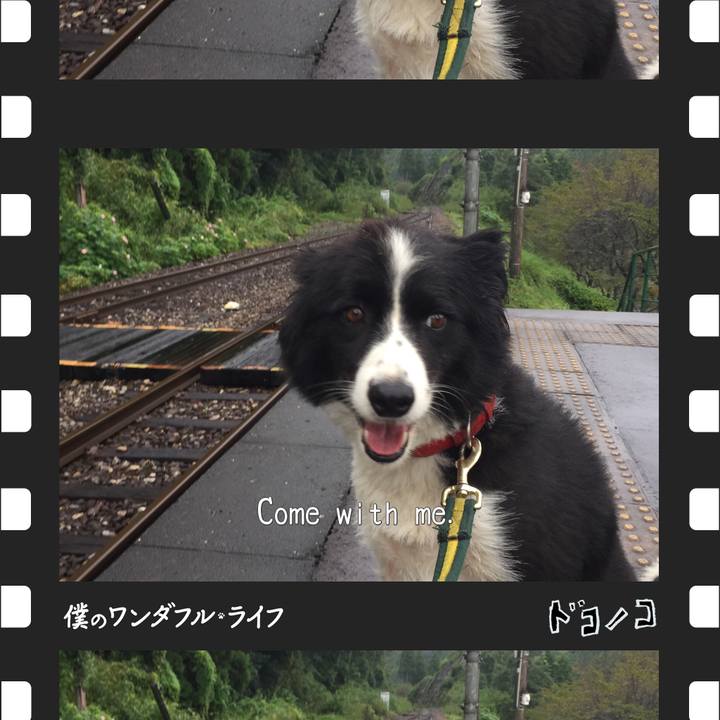 2e543a4a 5524 4427 8793 9a55b6c5a559