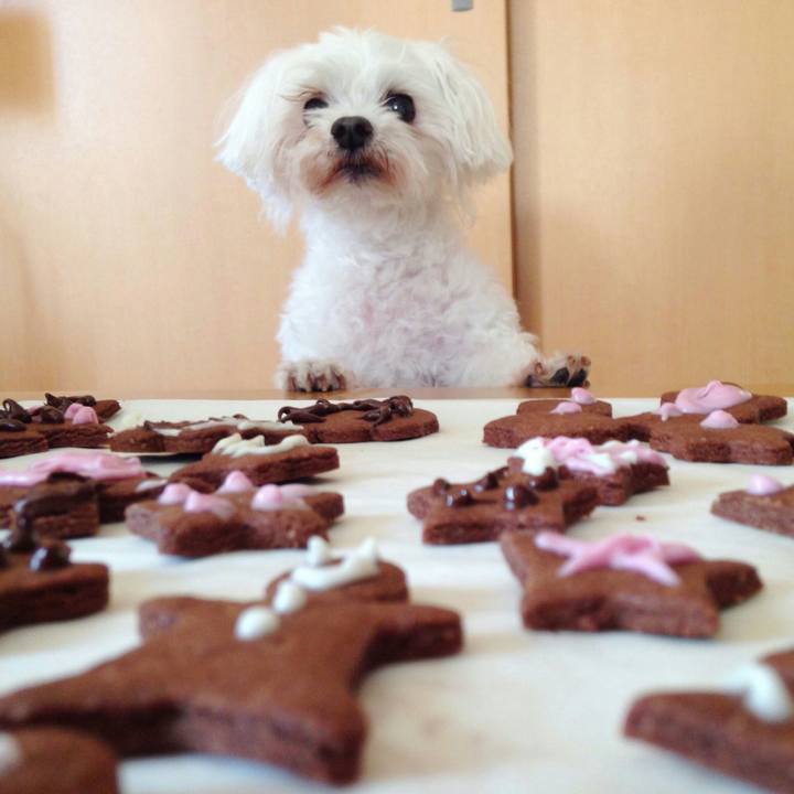 2e54daf2 5b3b 4d52 ae6c 6c08a7cd6681