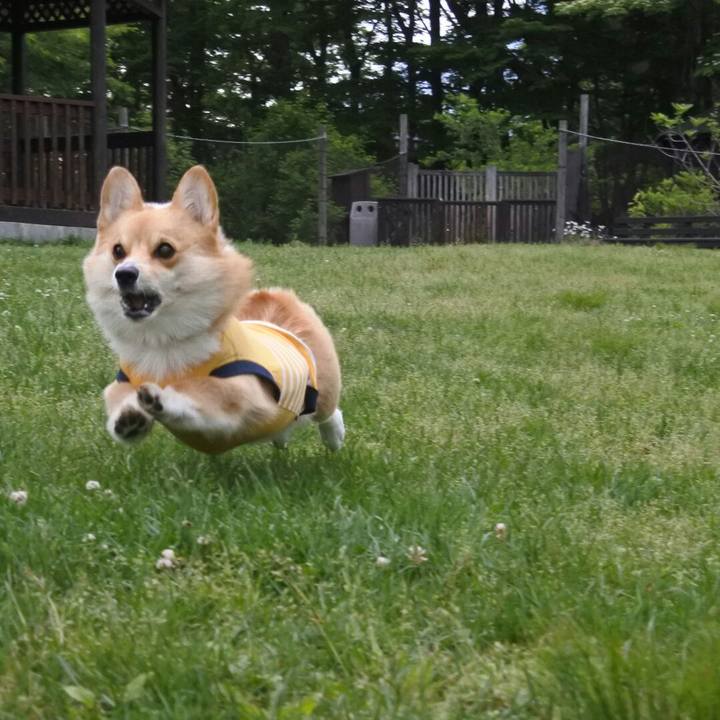 2e54de1d 8d14 4148 a429 03f7ad9fd180