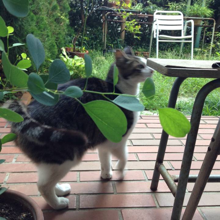 2e551140 45fd 40ca 852d 95a197561803