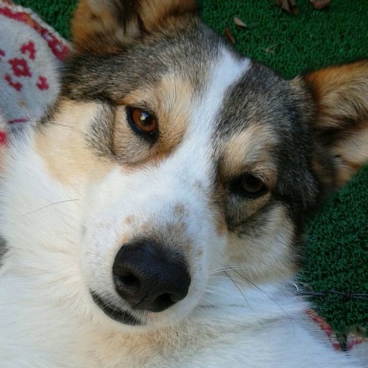 2e553657 07ce 4a46 bd26 6ec4347ad42d