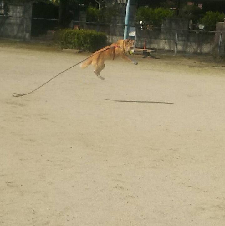 2e554520 cbfa 4cff 9fbf cd8707a2927e