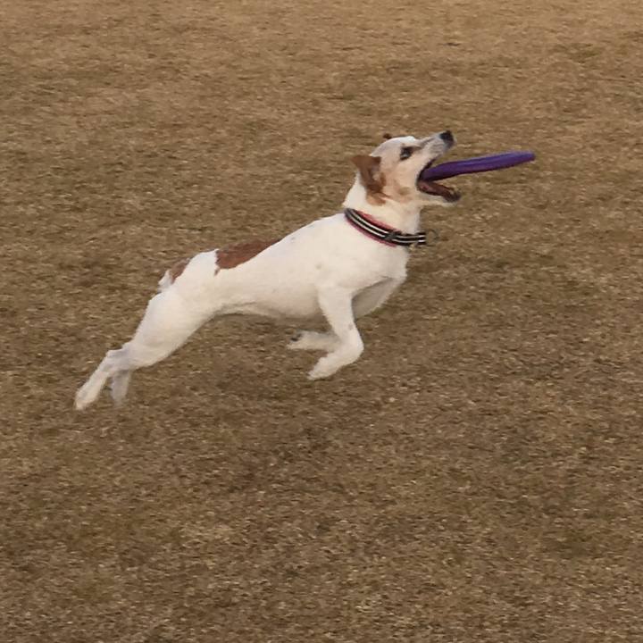 2e55d8d0 e2fb 49e5 a234 502e4295a693