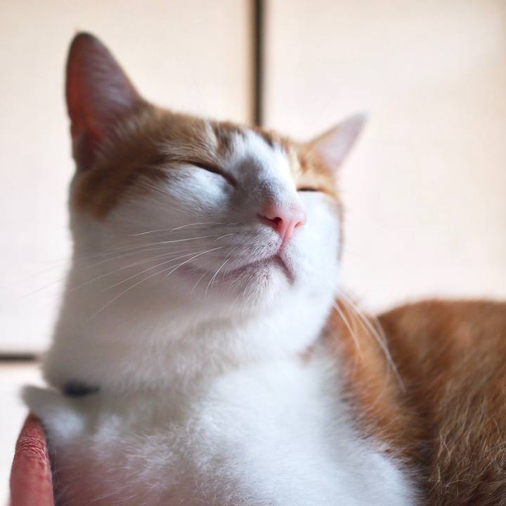 2e55e9e1 bf93 4c27 bd44 869eacddaa49