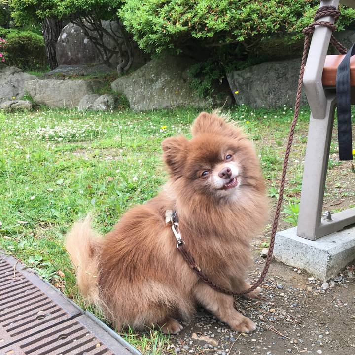 2e566414 7b57 406e 9d4f 4d2ec9937dd0