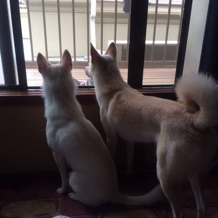 2e578514 45b9 4d2e 8c77 d6d386a7b16a