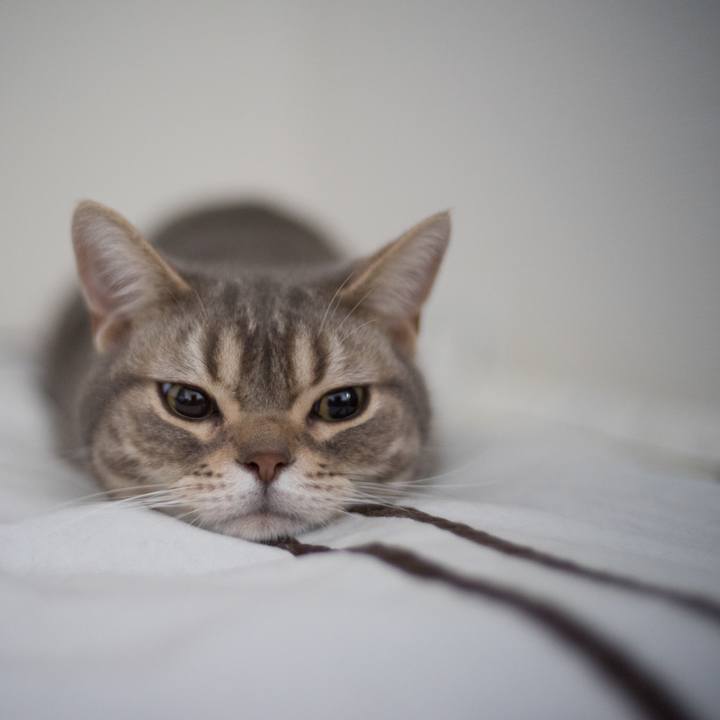 2e591963 24e8 4bd4 8842 585c82fe9d70