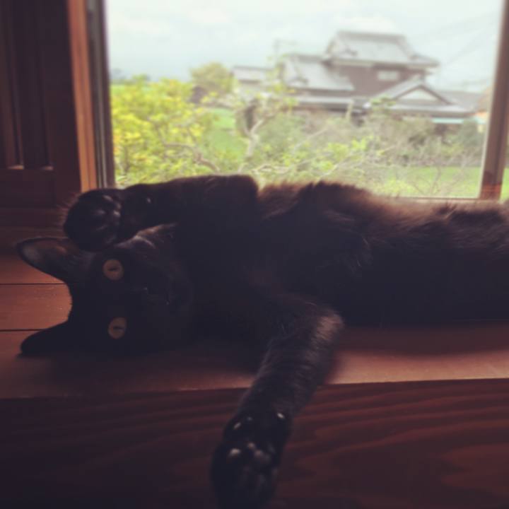 2e59473e 7282 4ef4 a0d0 3d6d385a00d6