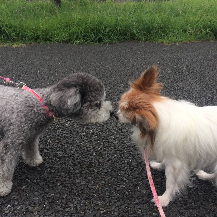 2e5a7c5a 4920 4793 8990 83fa3e66aeed