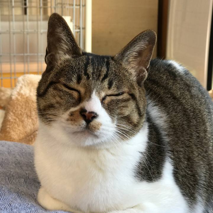 2e5aa777 fc54 4d91 a1ce 8df93a262cca