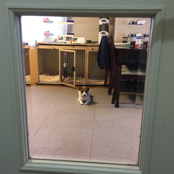 2e5af702 5d21 4c0e 9f65 cd970068bdee