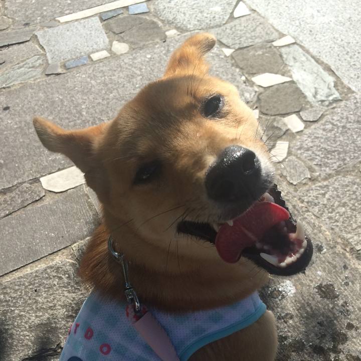 2e5affe1 4c08 45d2 badc 4aa3ffeb525c