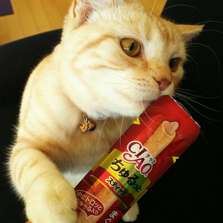 2e5b572f b95a 4cc6 8e2b e265585fc875