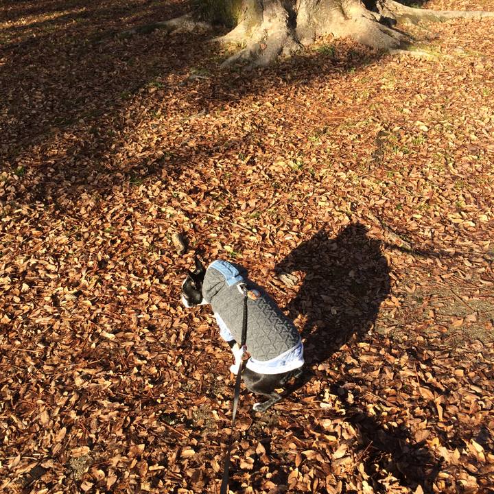 2e5b6fa3 4042 4a36 982d c76d163af22c