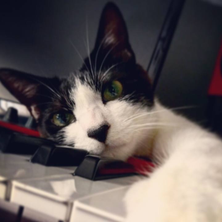 2e5ba1f3 7ca0 4c7a b028 e11e918e4a24