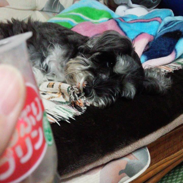 2e5ba8bf 632c 451d 9468 925ce20a000e