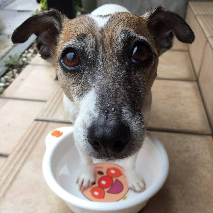 2e5c286e f0fd 41d8 887d 81121d9d0bd1